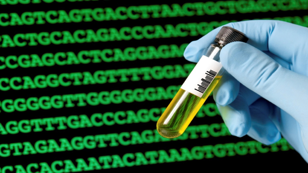 The Pioneering Science of Synthetic DNA Bases - Computingcell | Blog ...